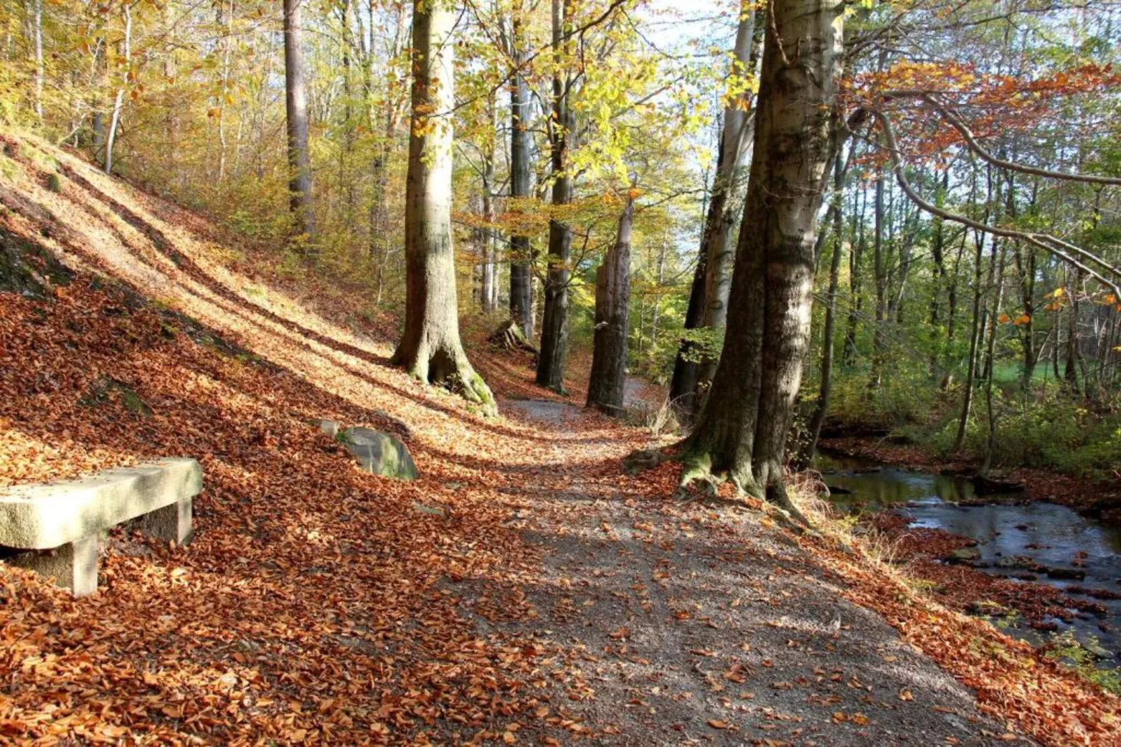 Zum Erzgebirge-Areas within 20km in summer
