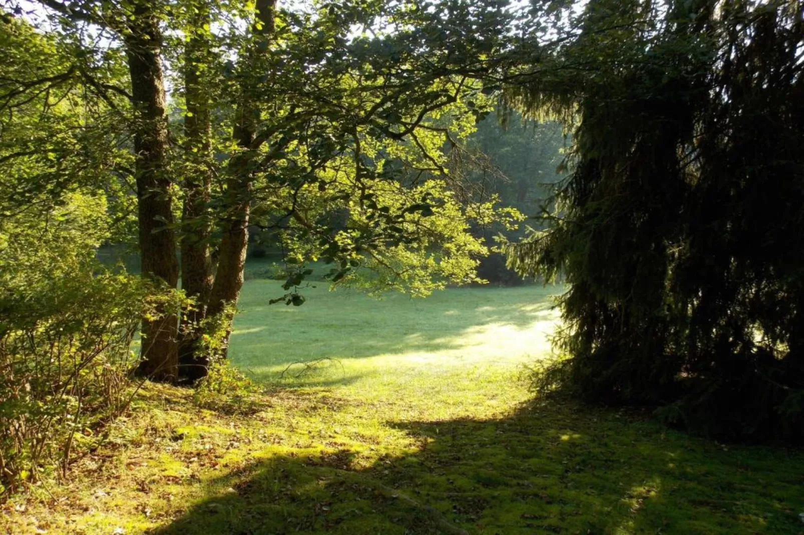 Ferienhaus Sonnenland-Areas within 20km in summer