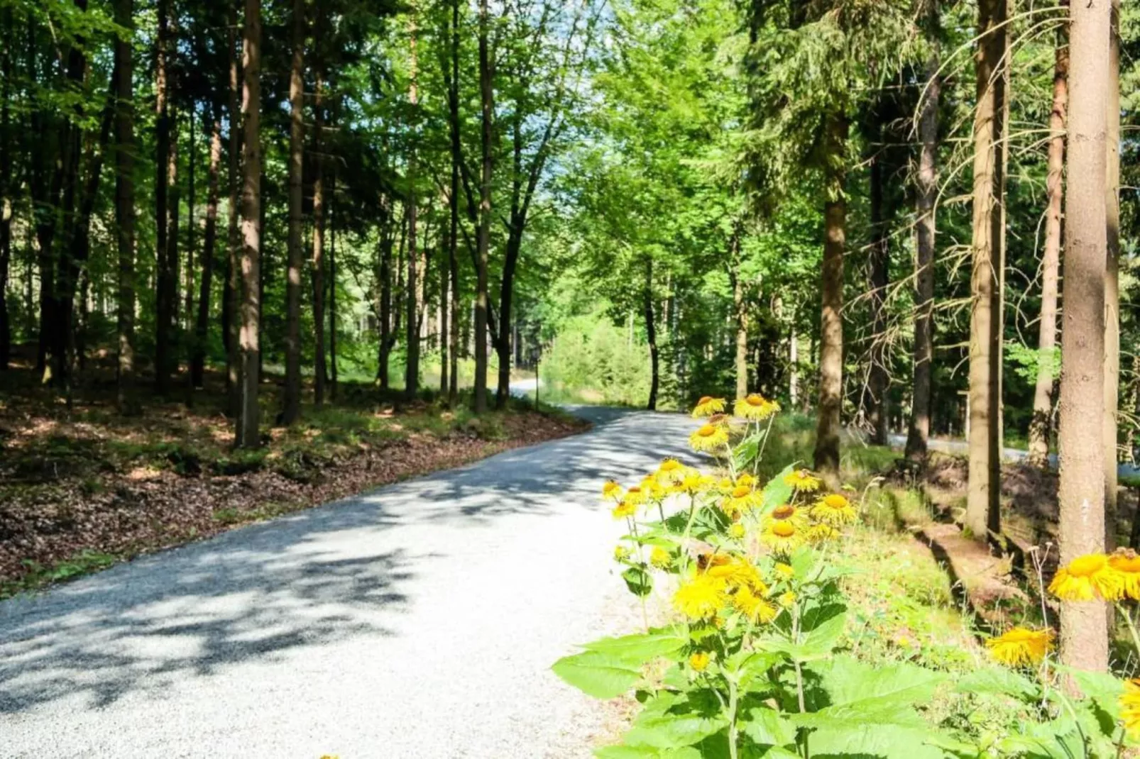 Bad Elster-Gebiete Sommer 20 km