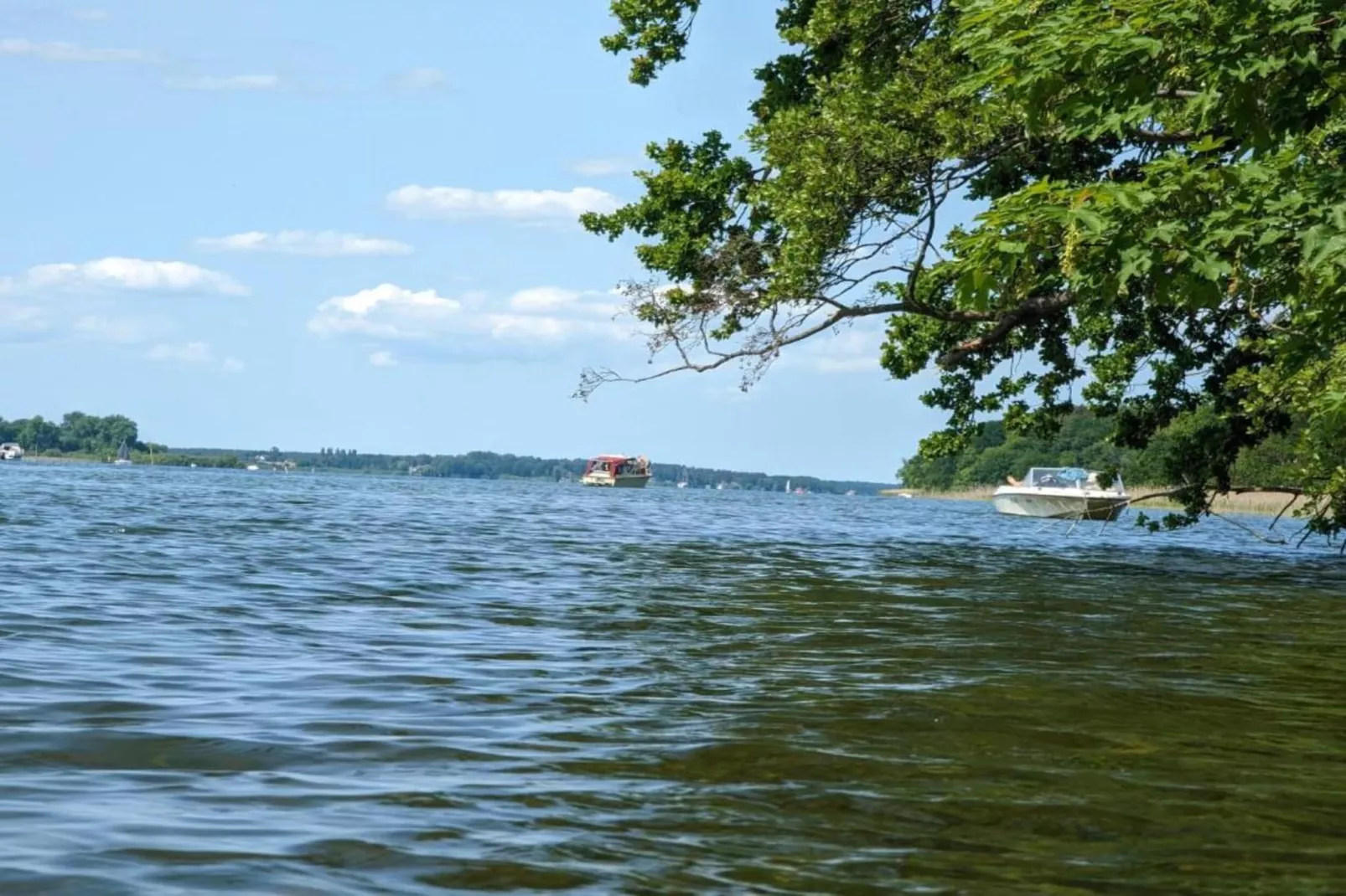 Dorle-Areas within 20km in summer