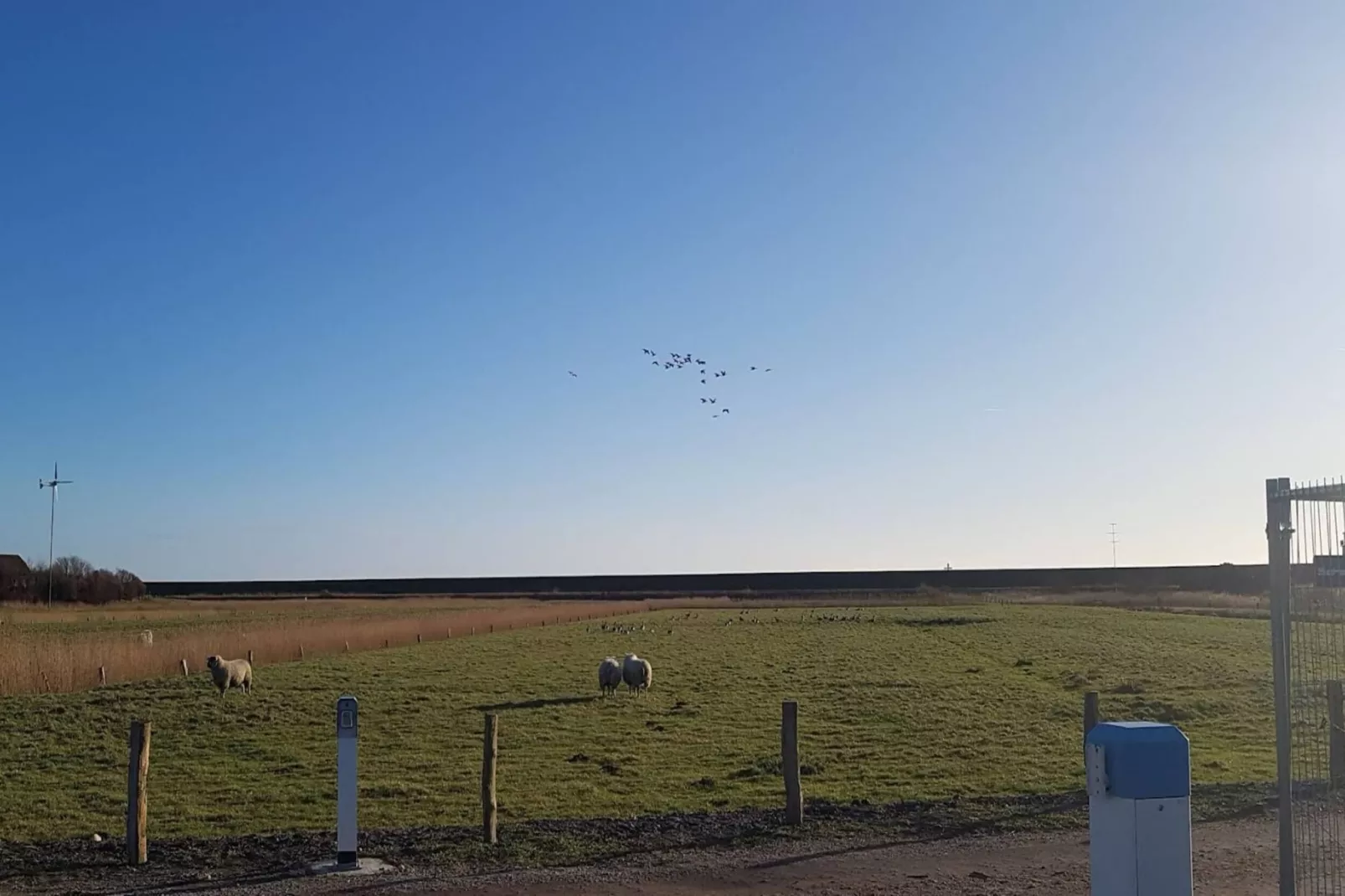 Ferienhaus Föhr-Gebiete Sommer 5 km