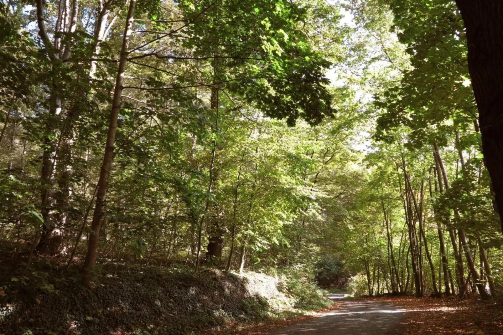 Weserbergland-Gebiete Sommer 20 km