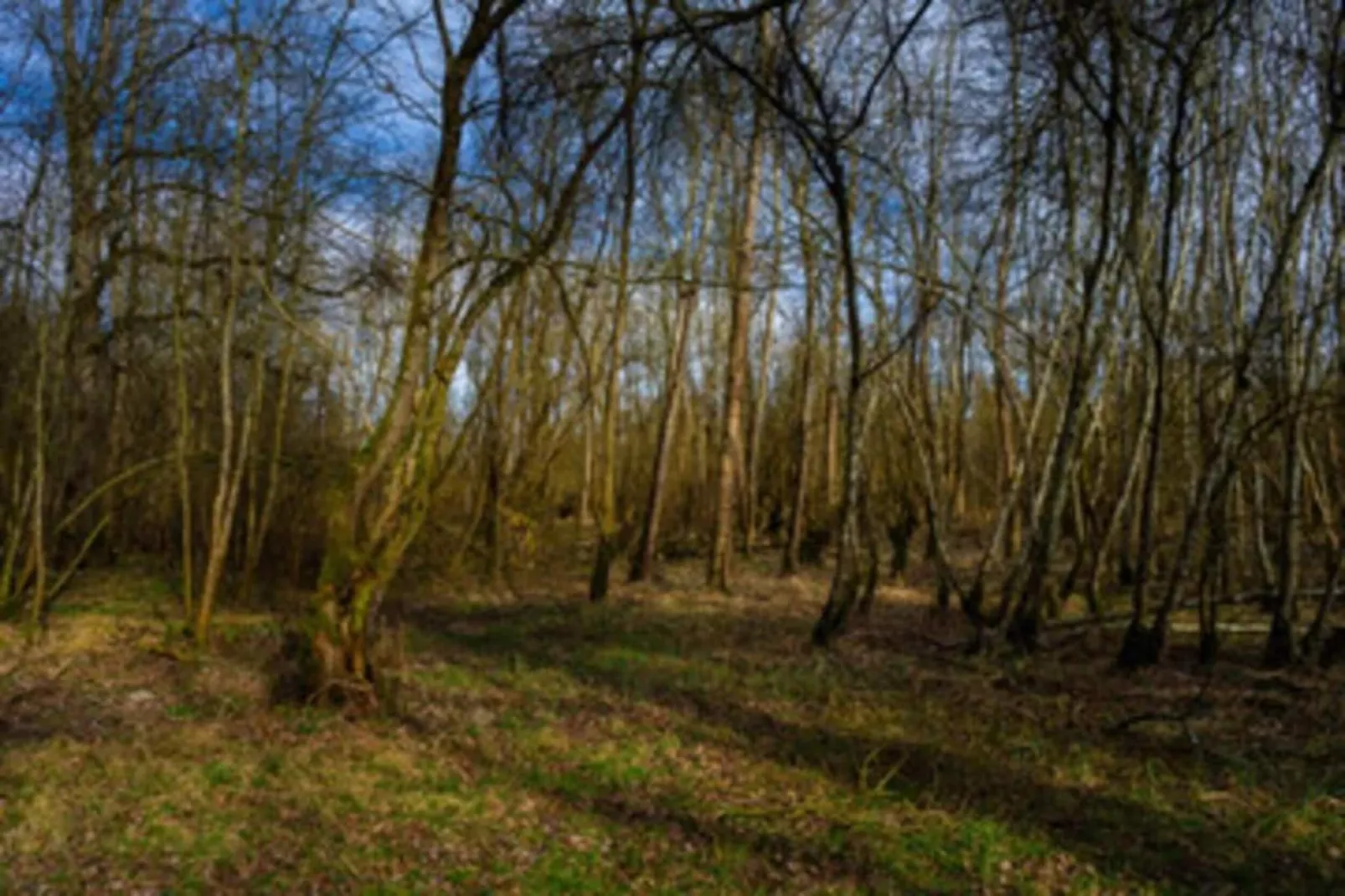 Feriendorf Natur pur 2-Zones été à 20 km