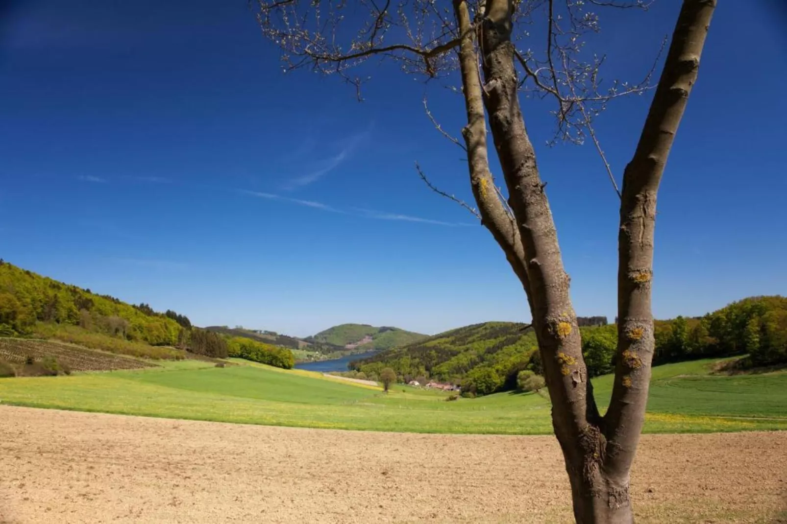Am Weiher-Areas within 5km in summer