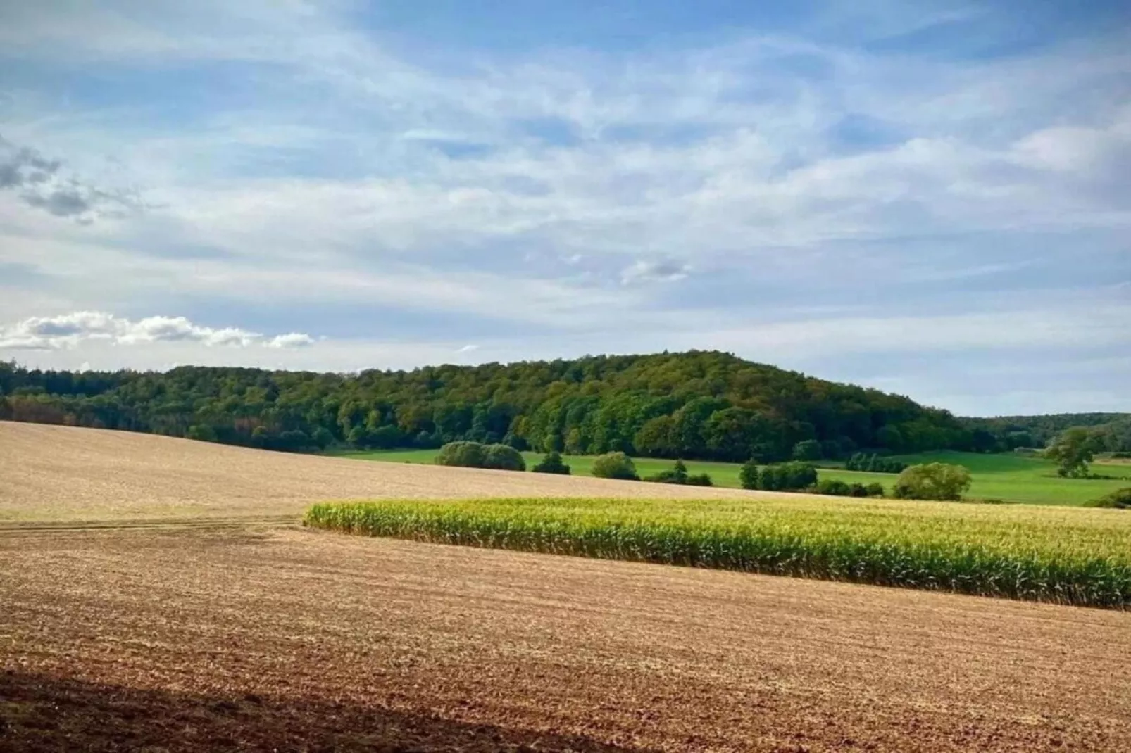 Ober-Waroldern-Gebiete Sommer 20 km