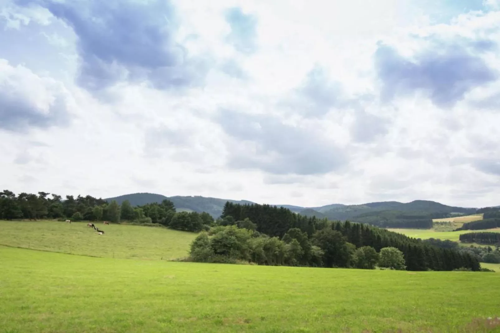 Hülsemann-Areas within 5km in summer
