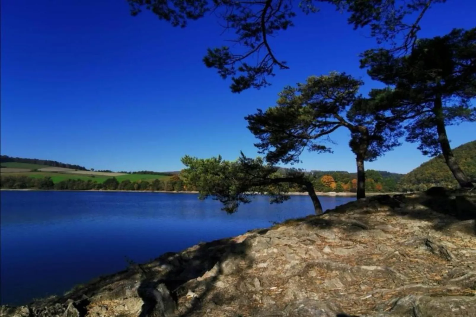 Sauerland - Diemelsee-Areas within 5km in summer