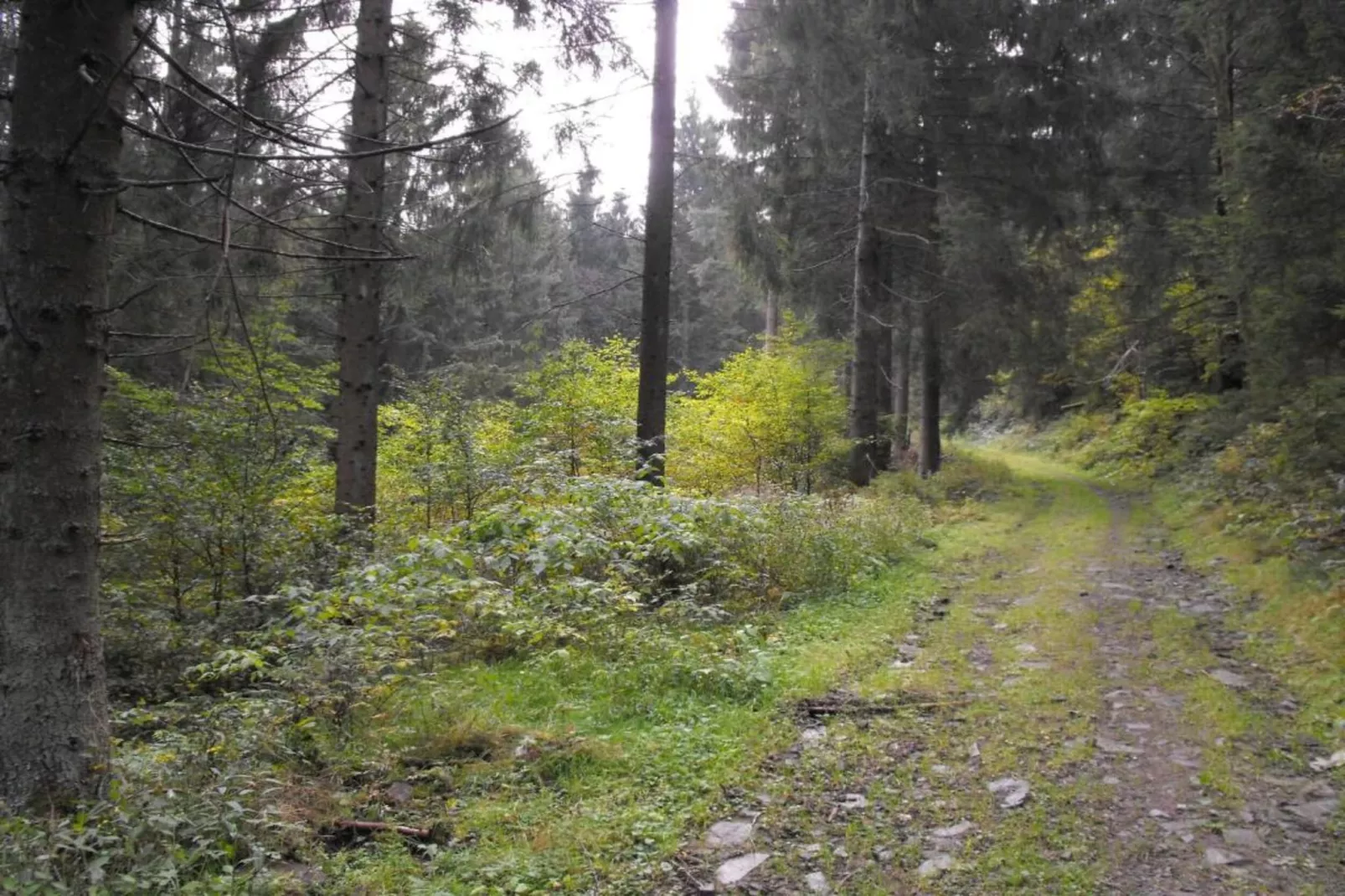 Spiegeltal-Zones été à 5 km