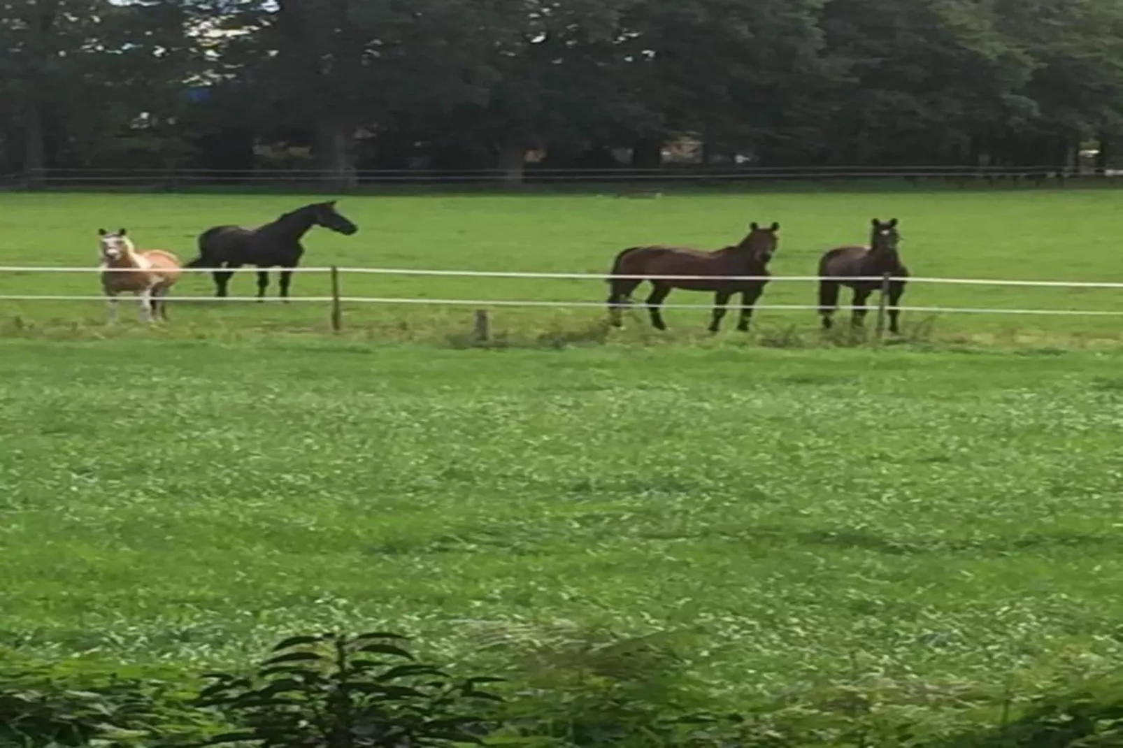 Ferienresort Bad Bentheim 1-Zones été à 20 km