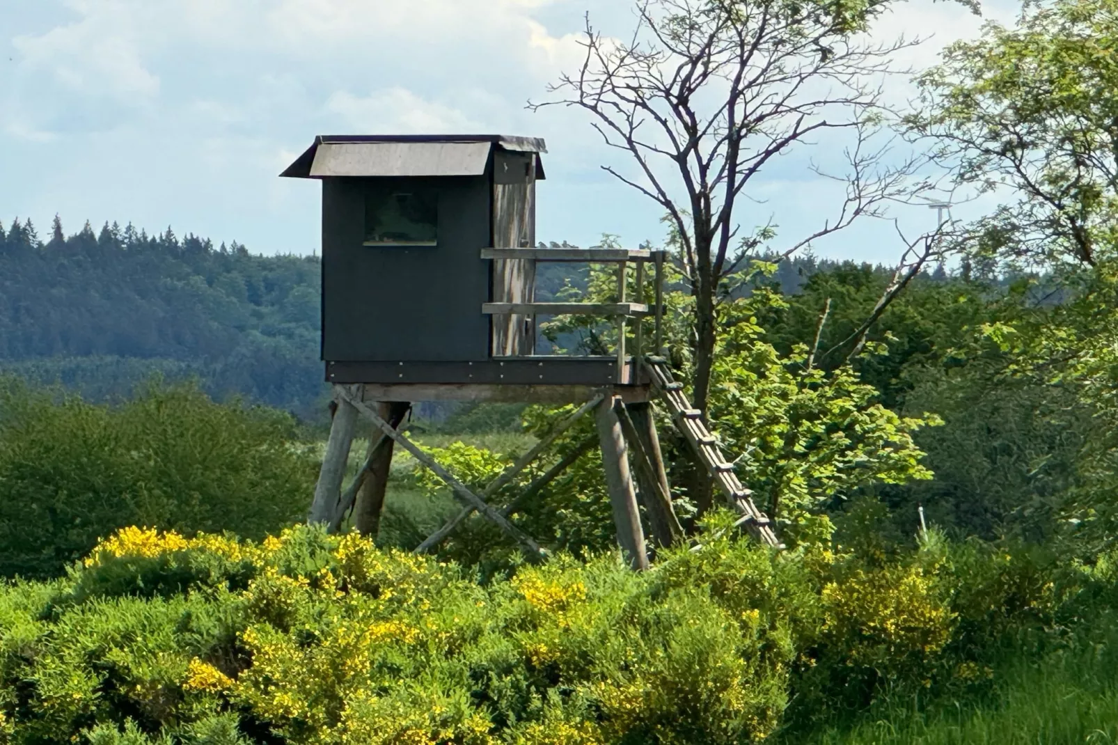 Groepshuis Eifel-Areas within 20km in summer