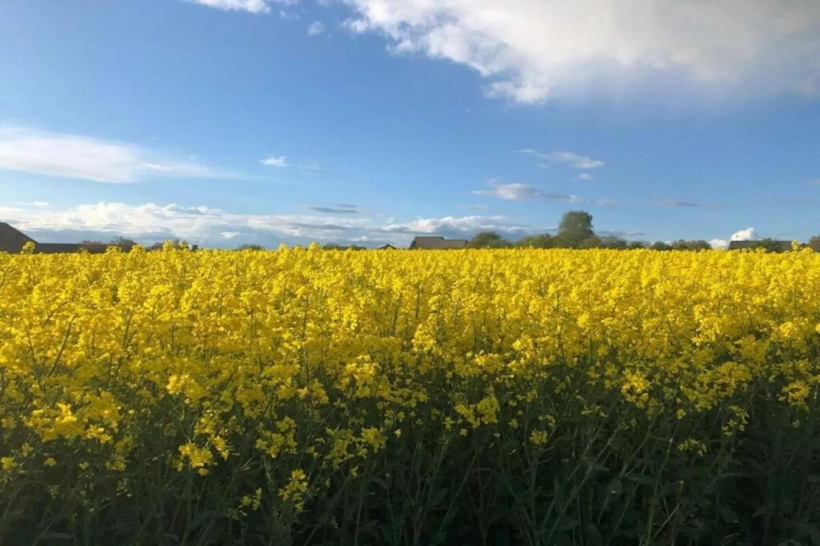 Pilmer 20-Areas within 20km in summer