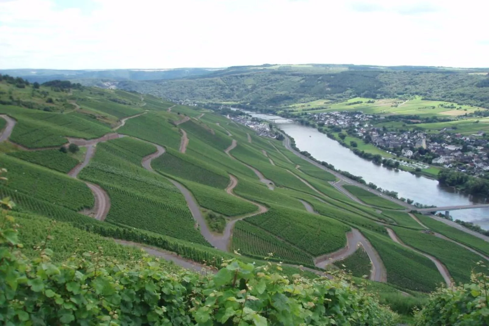 Weingut Justen-Kiebel-Areas within 20km in summer