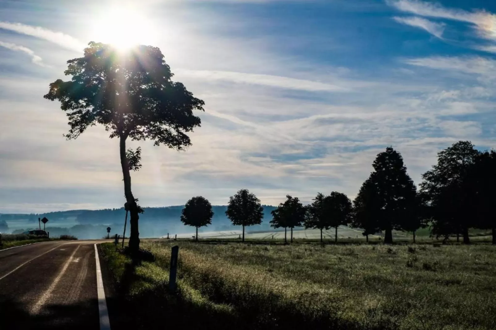 Feriendorf Reinskopf 1-Areas within 5km in summer
