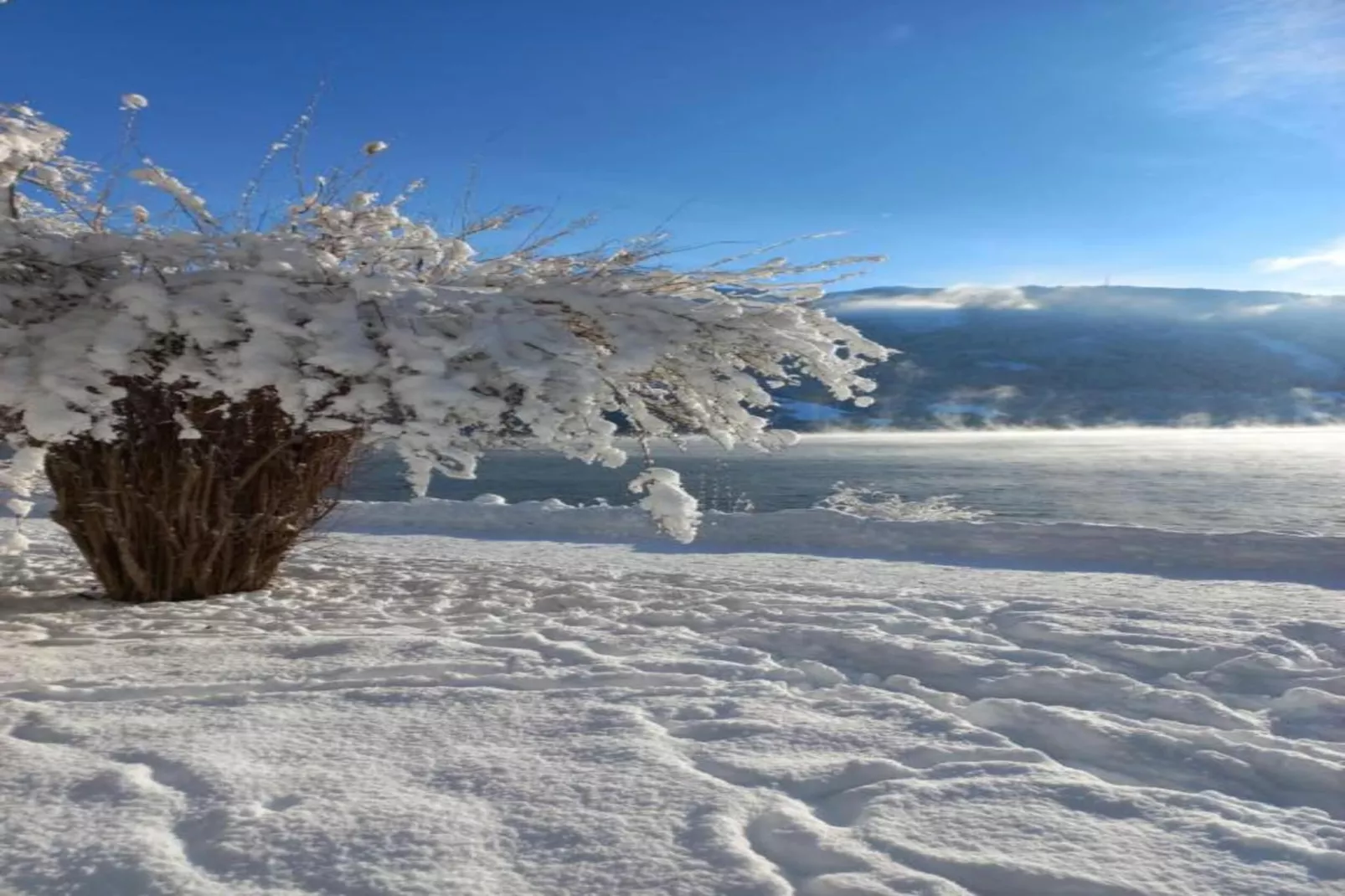 Der Schwarze Katz-Area within 20km in winter