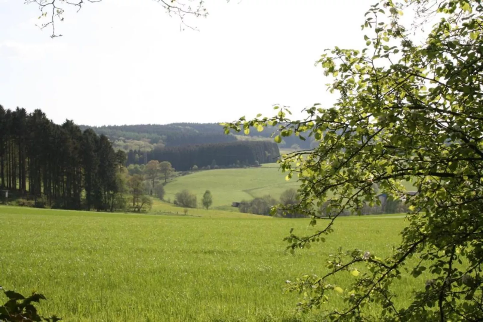 Dömer-Areas within 20km in summer