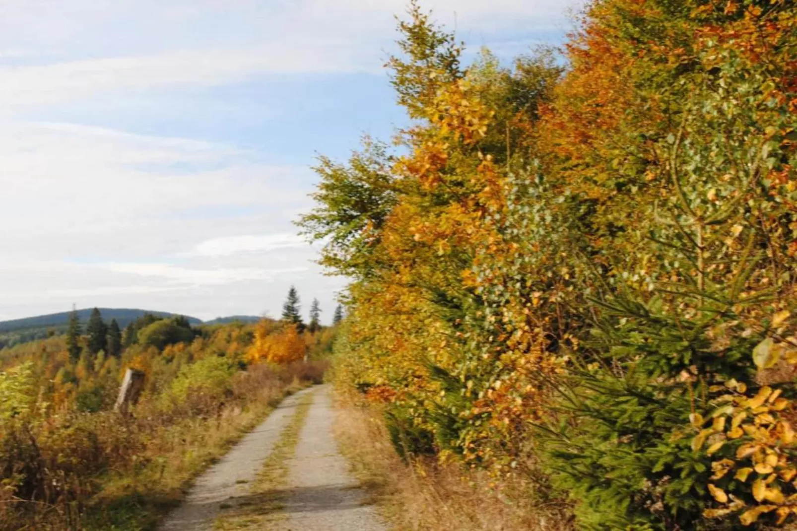 Sauerland-Gebiete Sommer 5 km