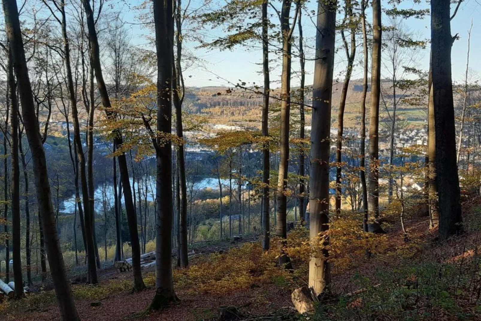Im Ries I-Areas within 5km in summer