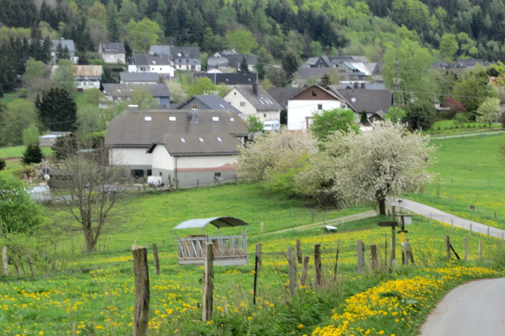 Küstelberg-Gebiete Sommer 1 km
