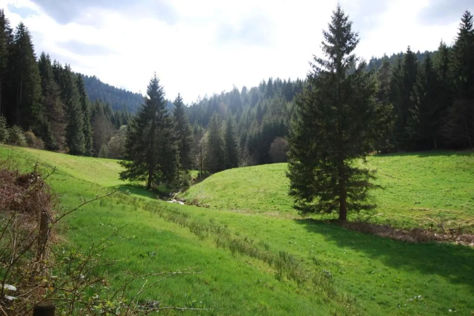 Kniebis-Areas within 20km in summer