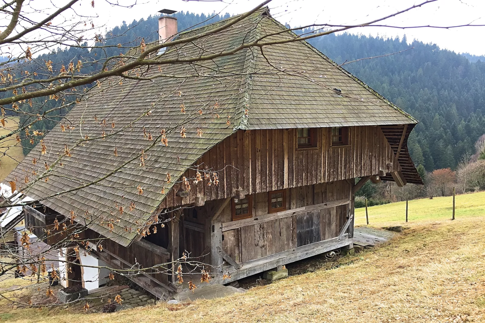 Schwarzwald-Exterior in summer