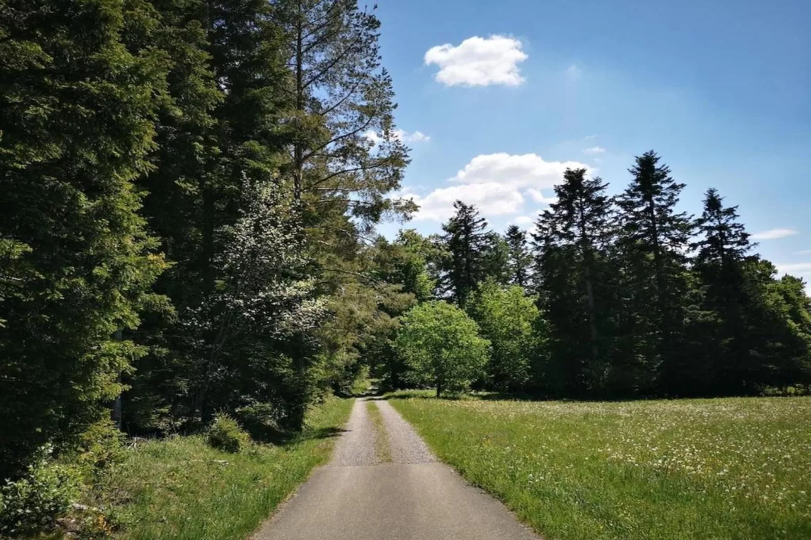 Marianne-Areas within 20km in summer