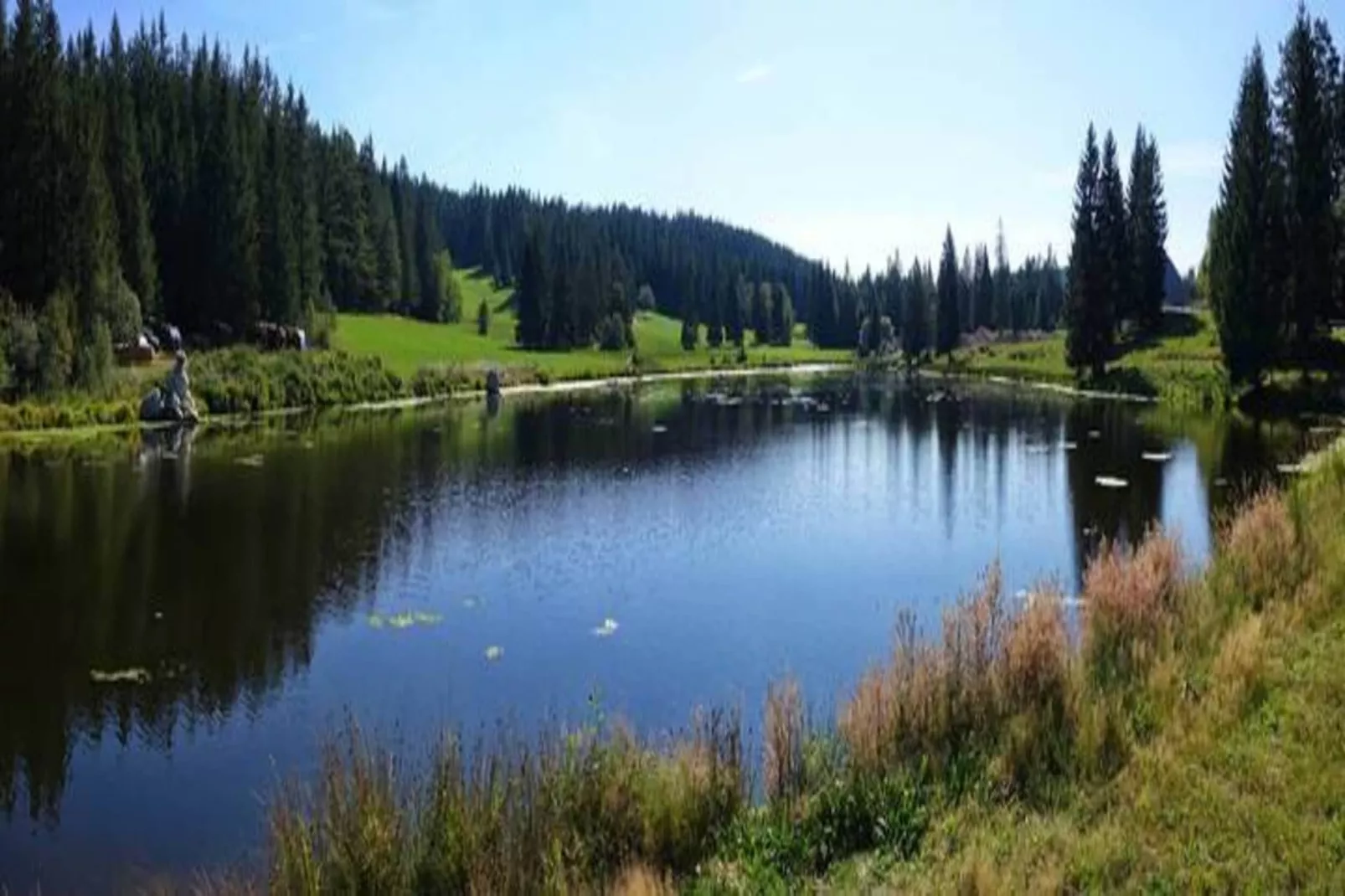 Panoramablick-Areas within 20km in summer