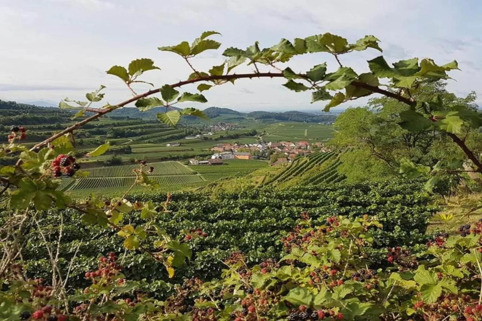 Ferienwohnung Franz-Areas within 20km in summer
