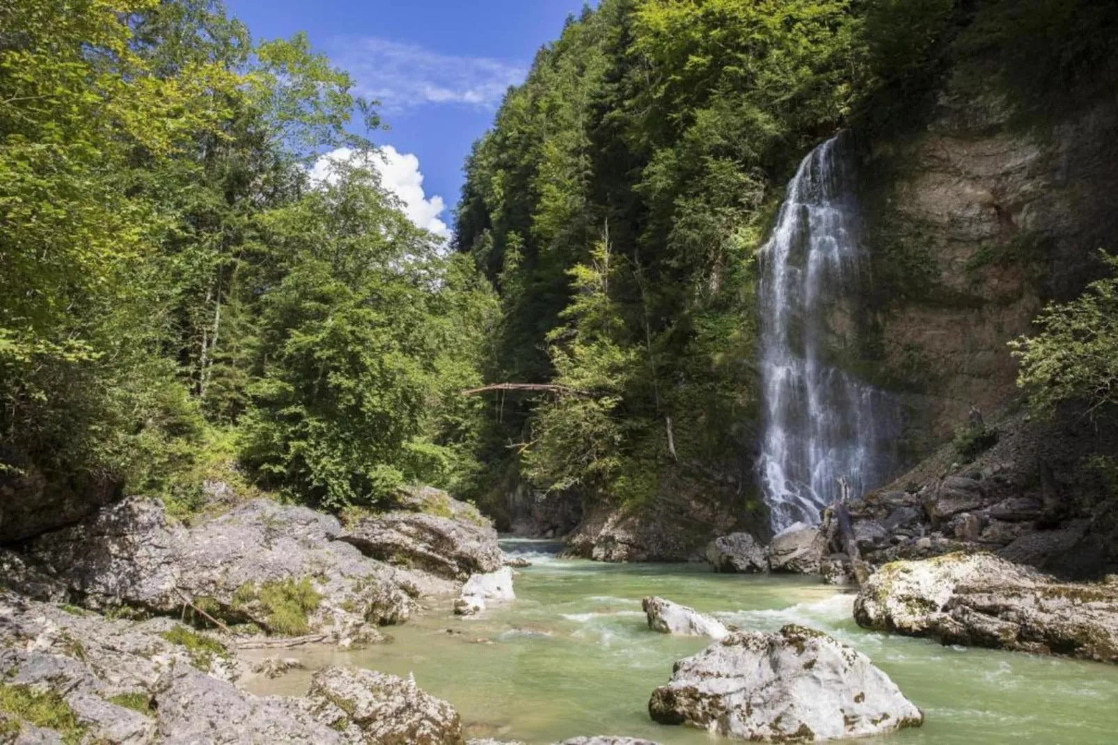 Marzell-Areas within 20km in summer