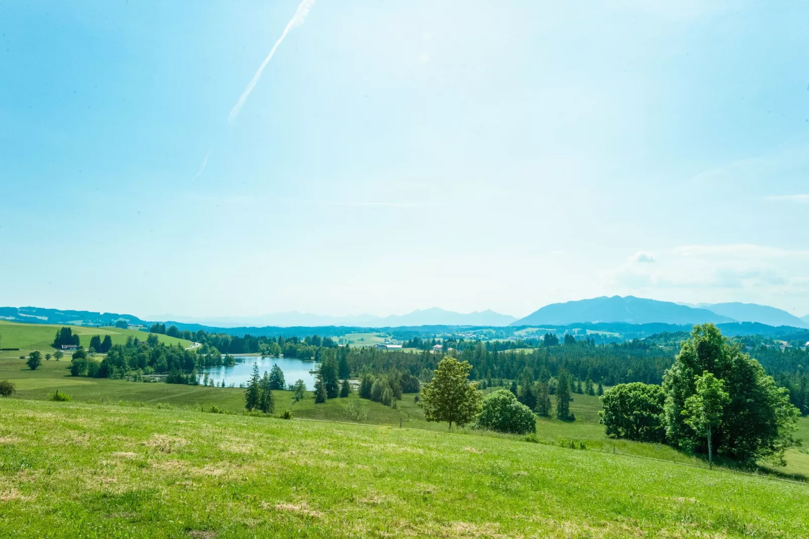 Oachkatzl-Areas within 5km in summer