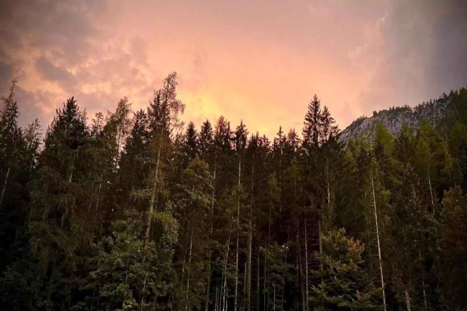 Schönau am Königssee-Gebiete Sommer 20 km
