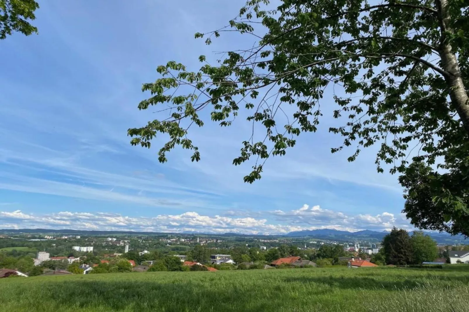Ferien im Oberallgäu-Areas within 20km in summer
