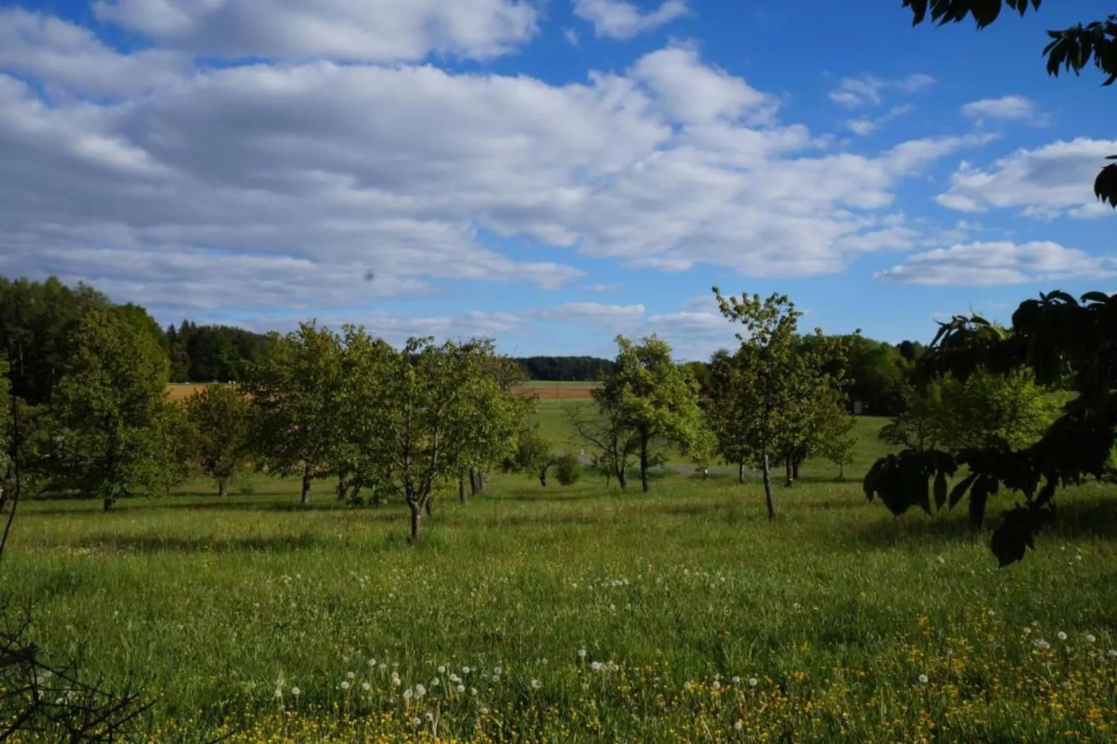 Has'n Res-Areas within 20km in summer