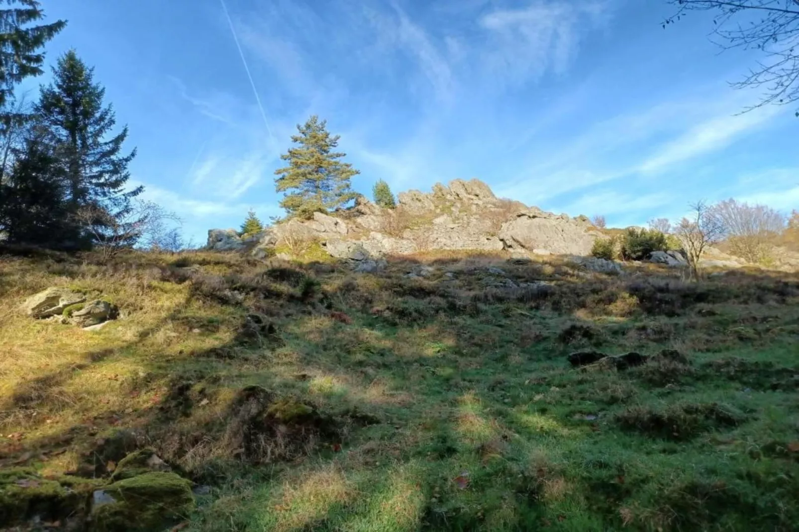 Bayerischer Wald-Zones été à 20 km