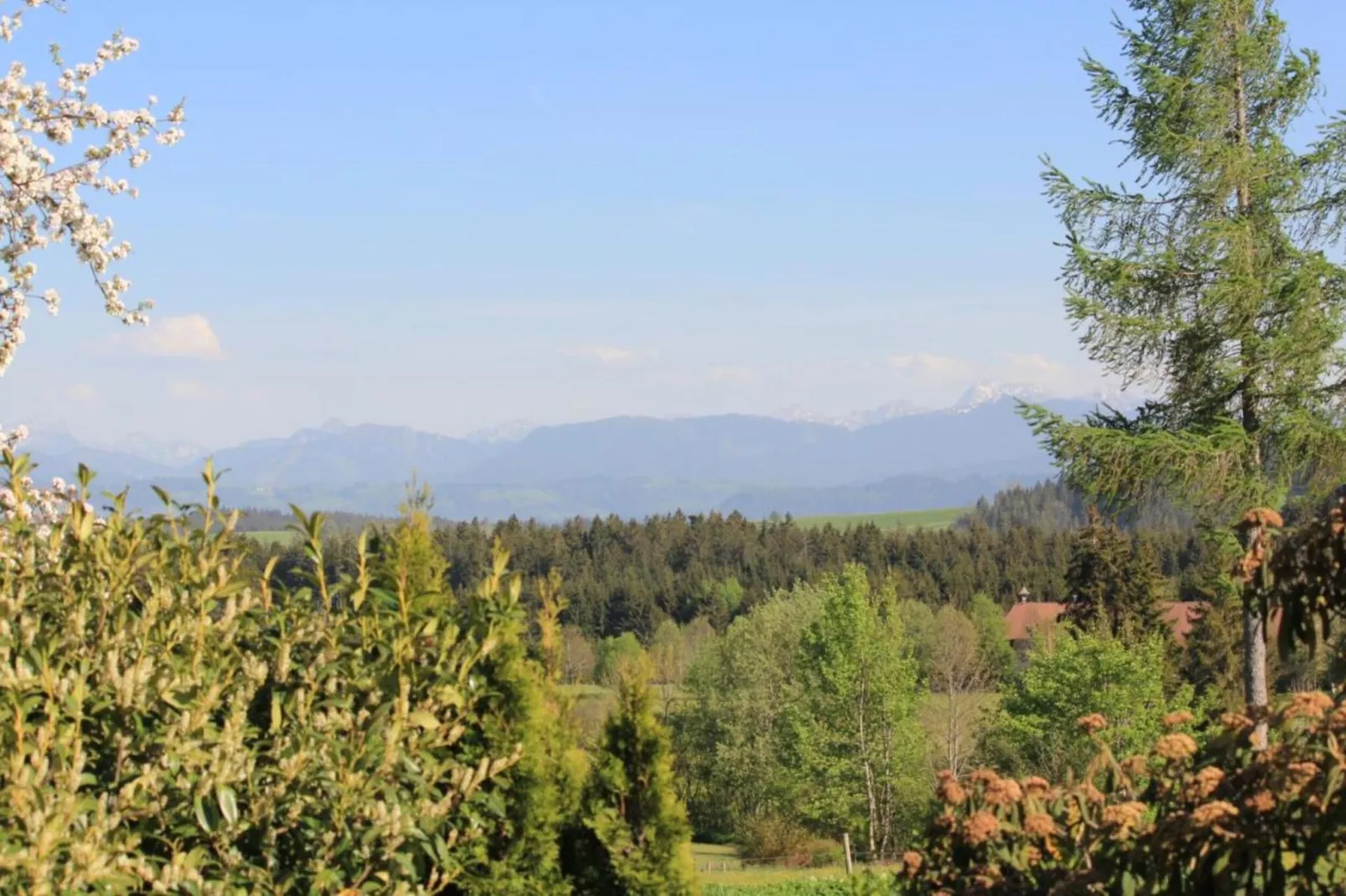 Bayerischer Wald-Areas within 5km in summer