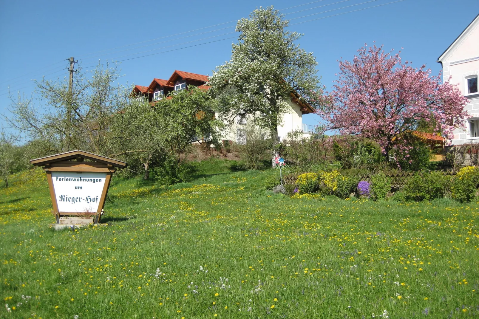 Am Ferienhof-Garten Sommer