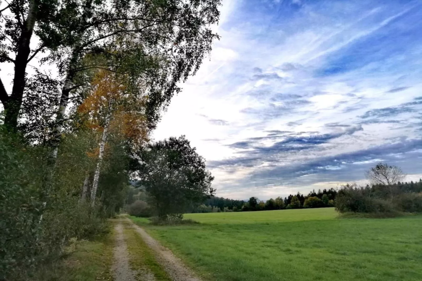 Gästehaus Kandlbinder-Areas within 20km in summer
