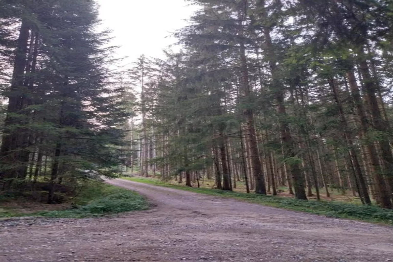 Ferienhaus mit Sauna im Bayerischen Wald-Areas within 20km in summer