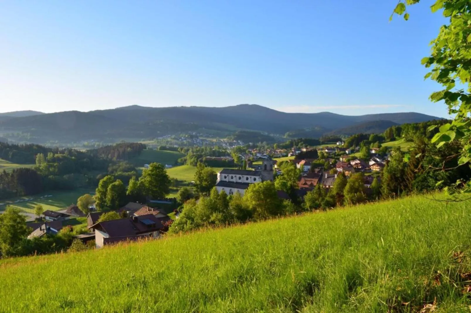 Poesie-Zones été à 5 km