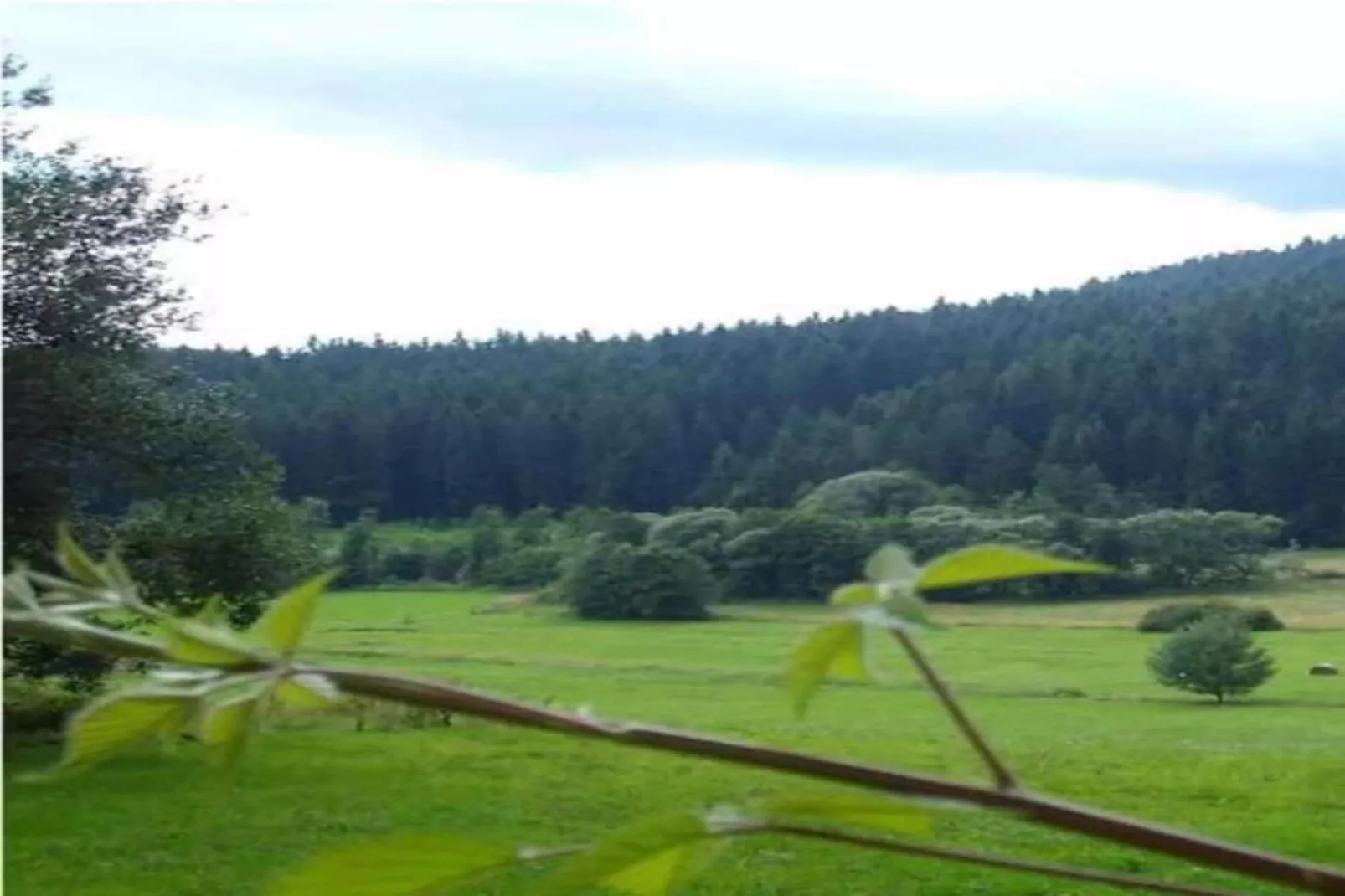 Im Zellertal-Areas within 20km in summer