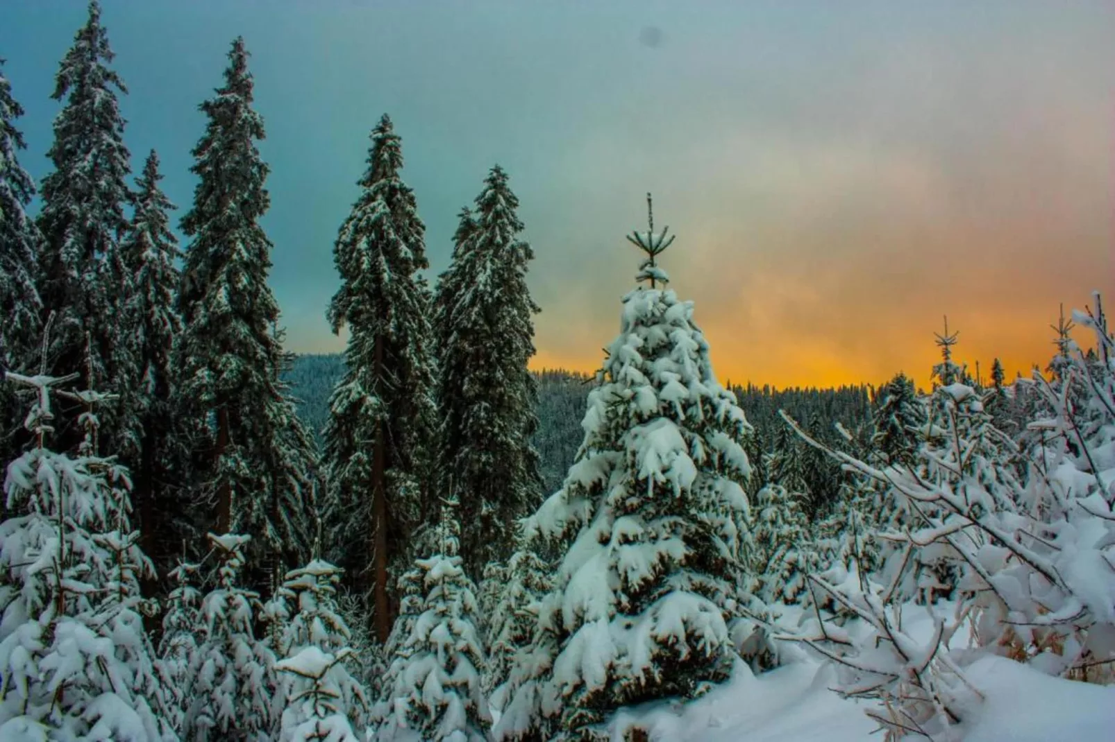 Weidhaus-Area within 20km in winter