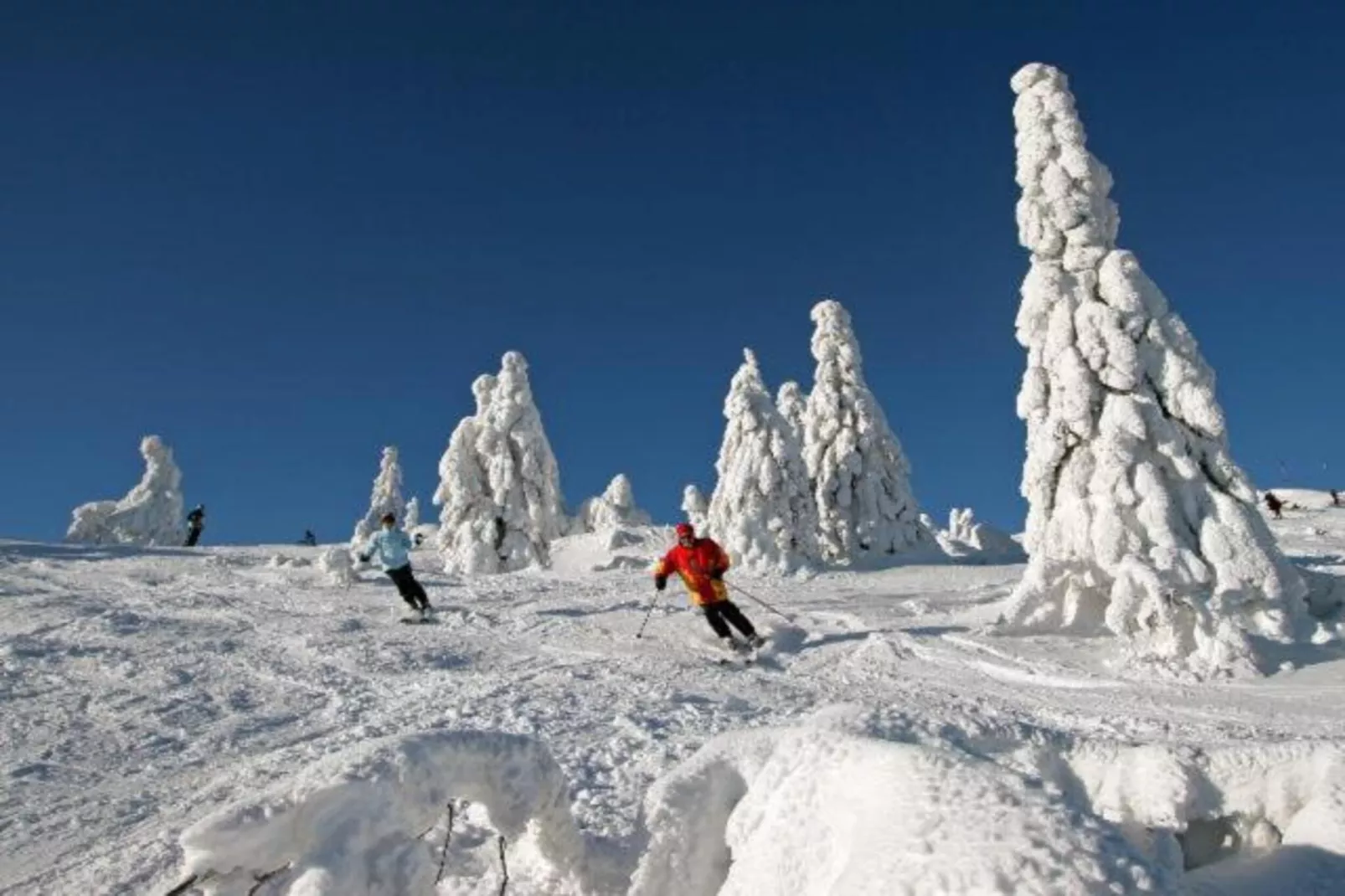 Im Zellertal-Gebiet Winter 20 km