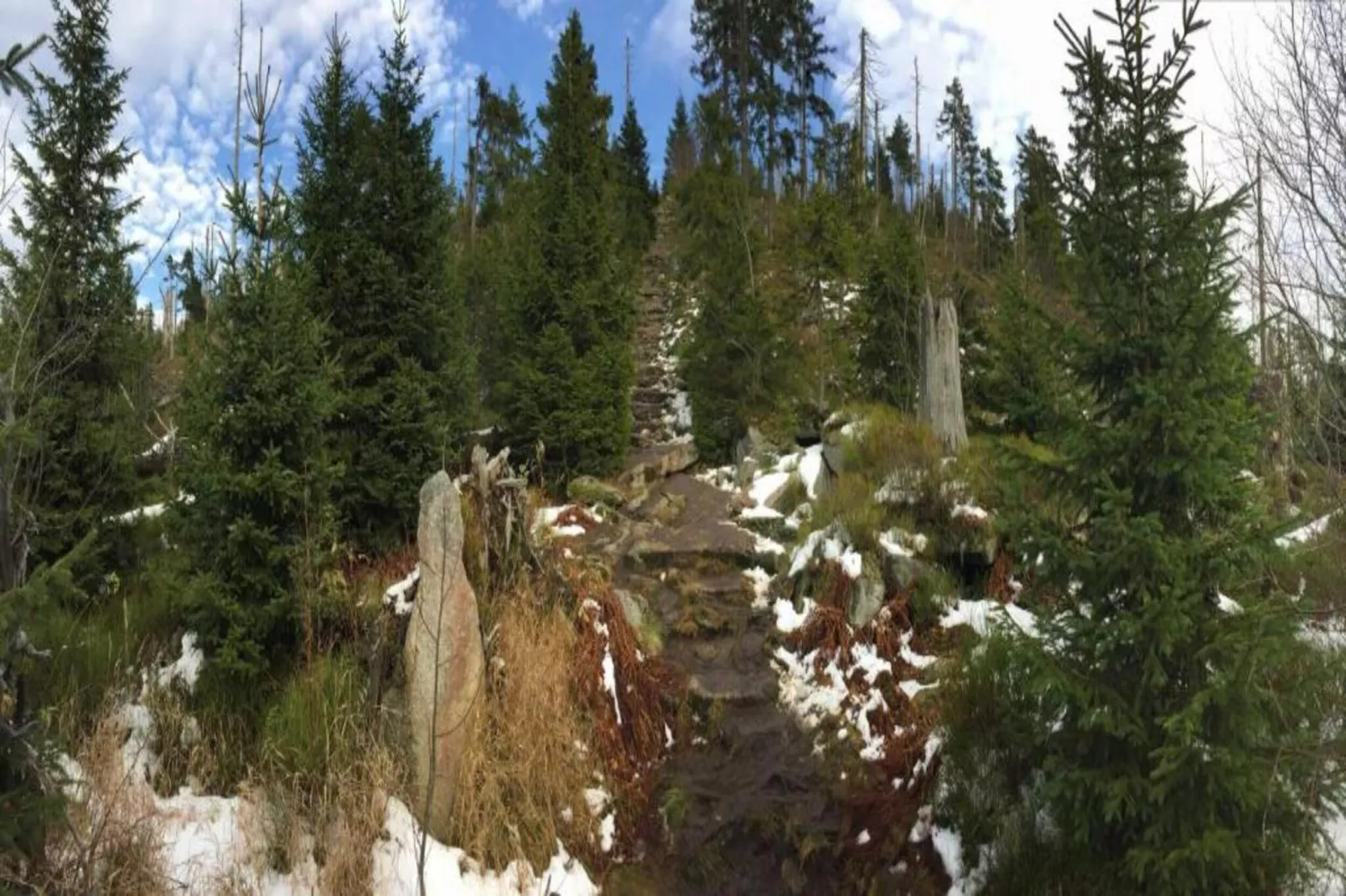 Talblick-Areas within 20km in summer
