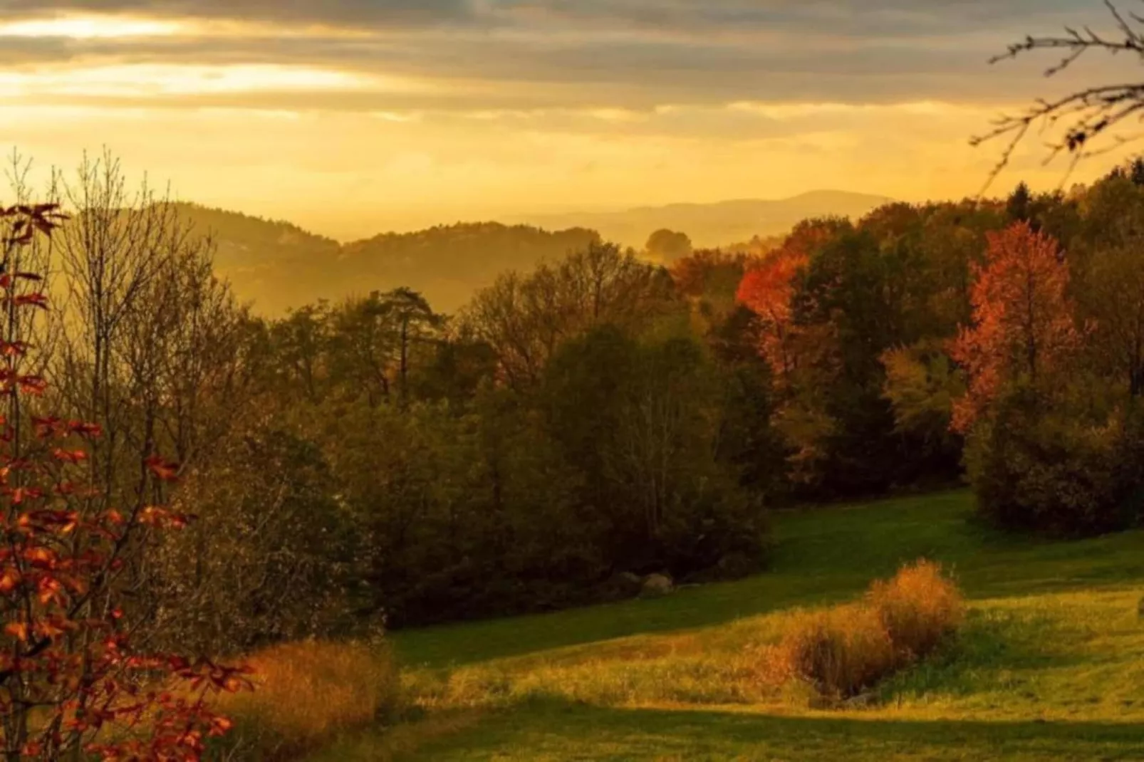 Sonnenwald-Areas within 20km in summer