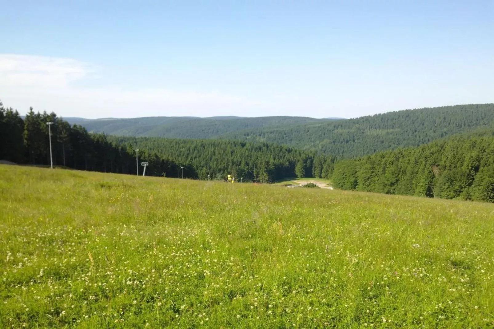 Waldblick-Gebiete Sommer 20 km