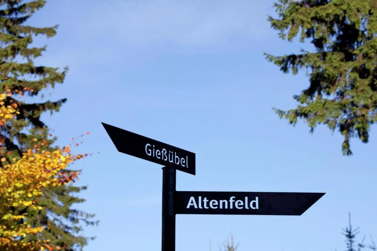 Altenfeld-Areas within 5km in summer