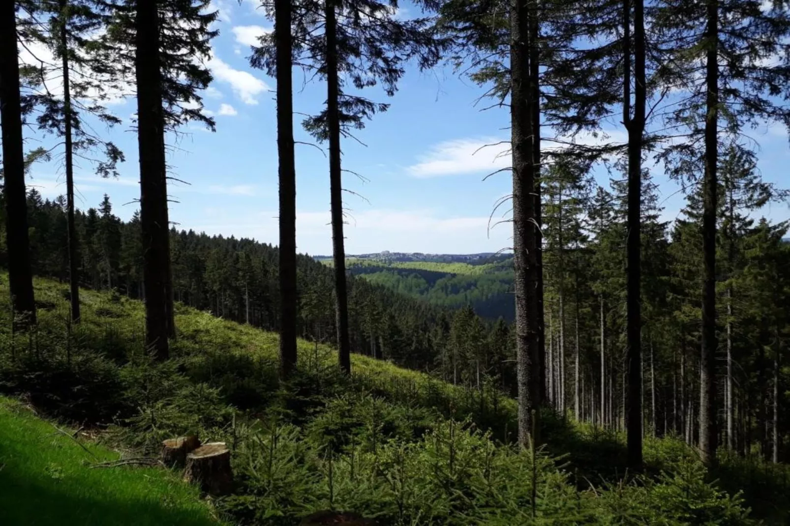 Thüringer Wald-Areas within 20km in summer