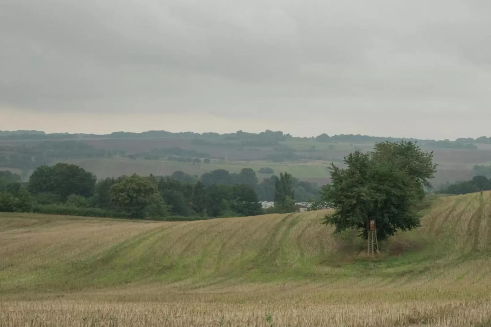 Neustadt-Zones été à 20 km