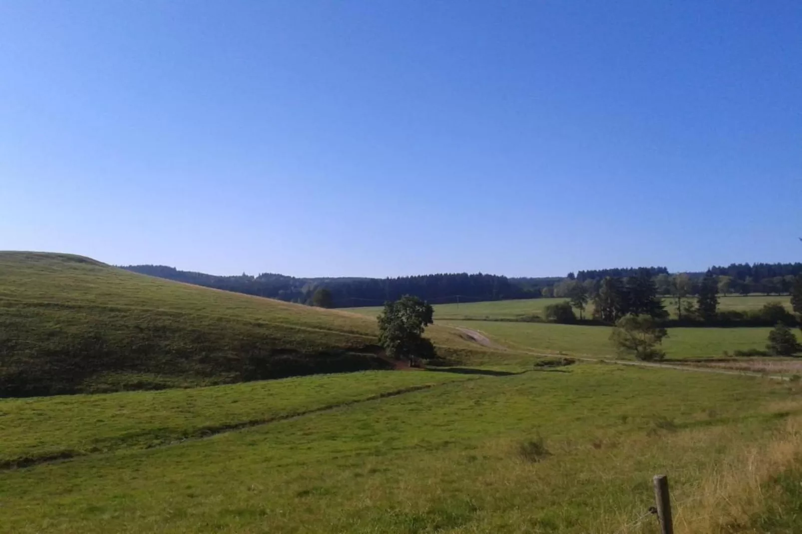 Ferienhaus im Thüringer Wald-Areas within 5km in summer