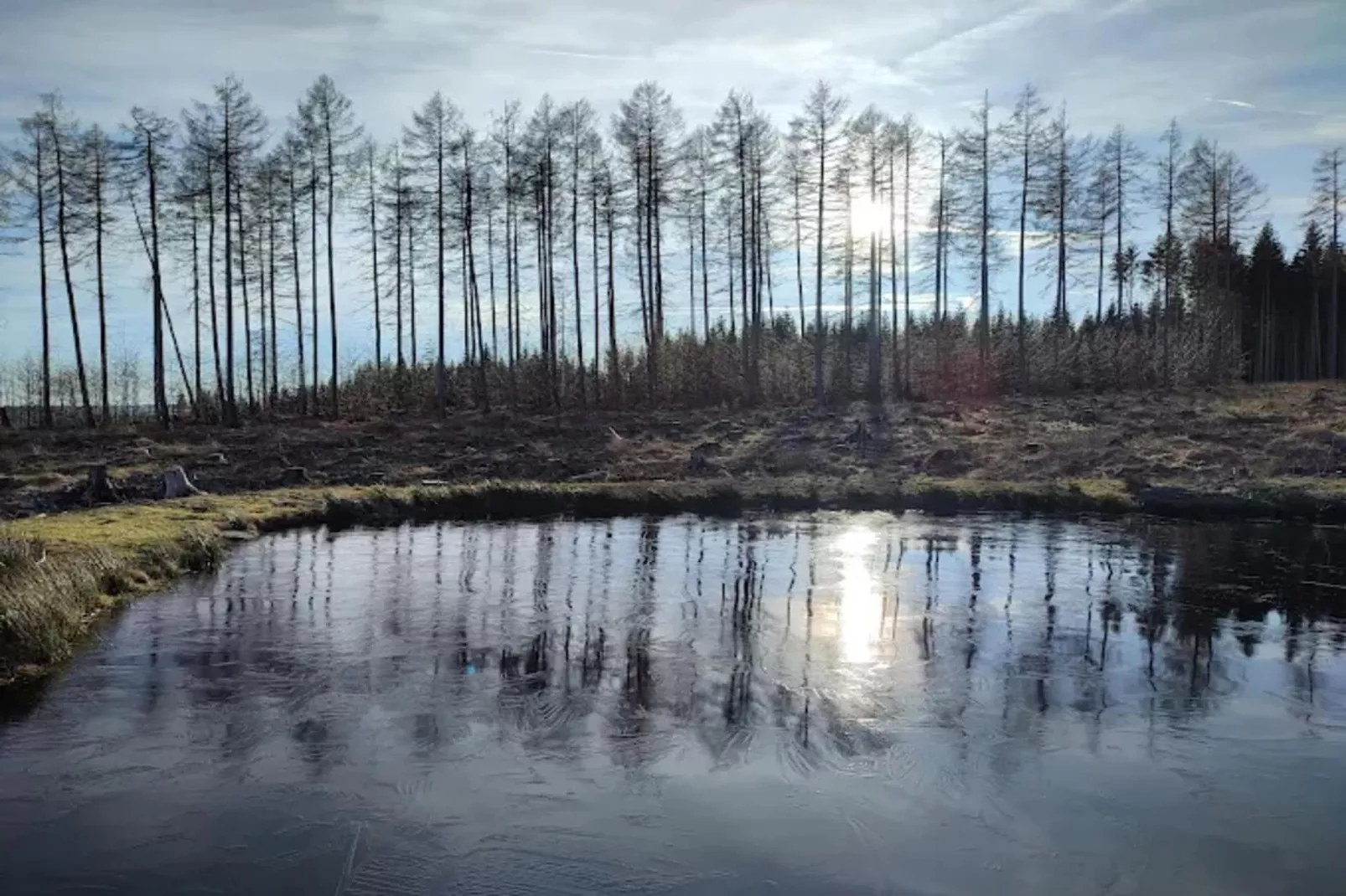 FH PremiumLodge Plus-4Erw und 2 Ki 4-11-Areas within 5km in summer
