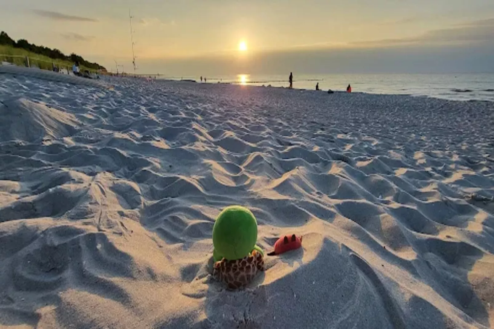 Ferienwohnung Zingst-Buhnen 24-Areas within 1km in summer